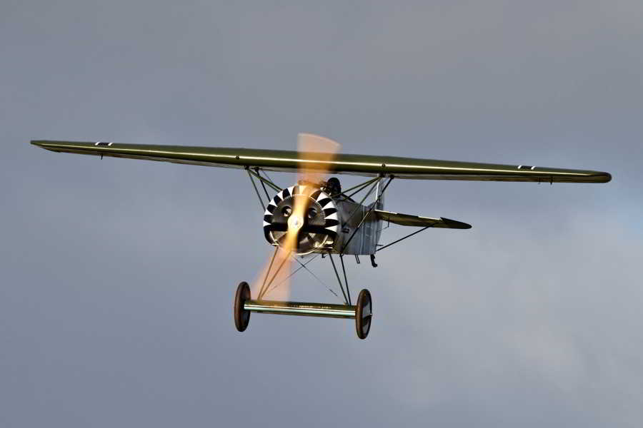 Fokker D.VIII 03