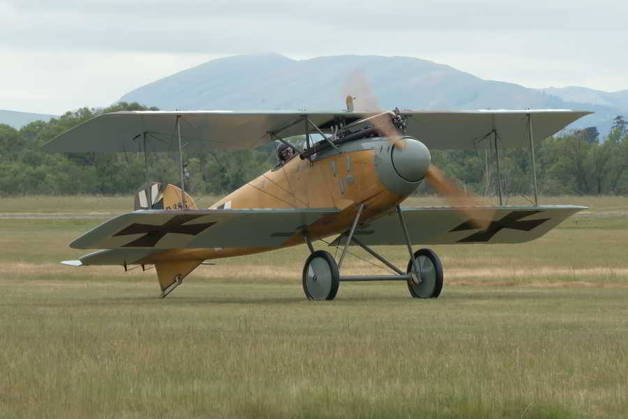 Albatros 03