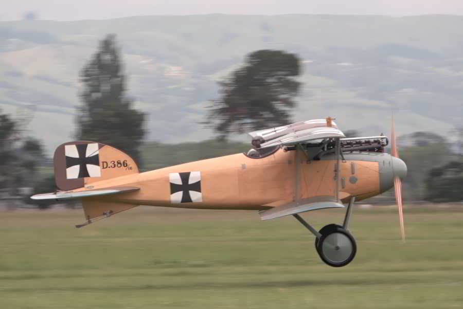 Albatros 04