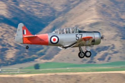 BeeMail:OtherVideo_004Short>Thumbnail