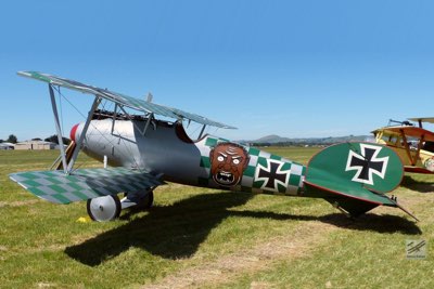 Fritz Rumey - A WW1 German Flying Ace